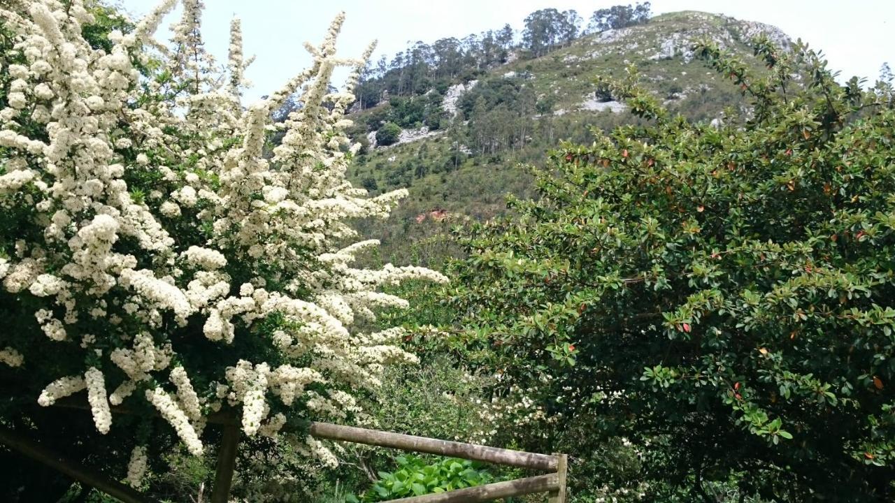 Los Acebos de Pena Cabarga Sobremazas Exterior foto
