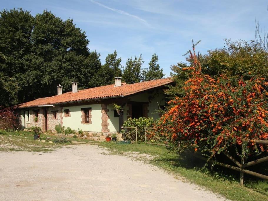 Los Acebos de Pena Cabarga Sobremazas Exterior foto