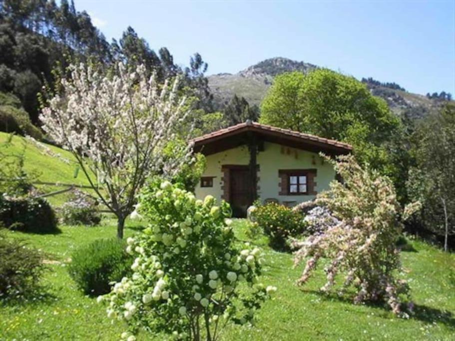 Los Acebos de Pena Cabarga Sobremazas Exterior foto